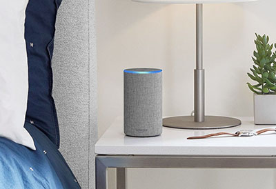 Google echo hot sale system